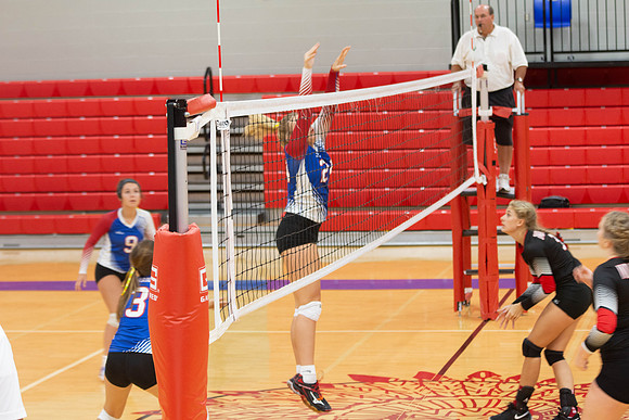 NWVB2018-9528
