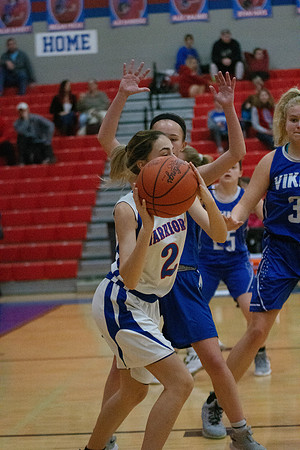 NWGB_2019_JV-241