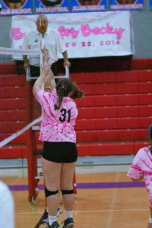 NWVB2018-1532