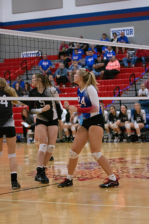 NWVB2018-6164