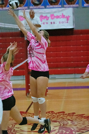 NWVB2018-1483