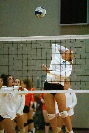 NWVB2018-2579