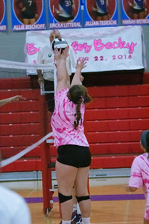 NWVB2018-1531