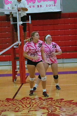 NWVB2018-1480