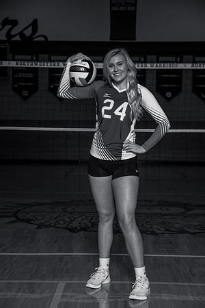 NWVB_cks-3740-bw2