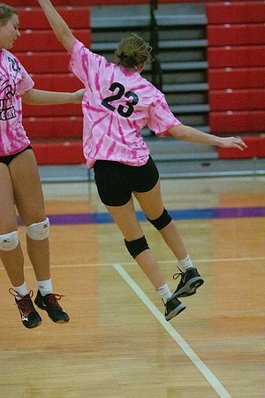 NWVB2018-1487