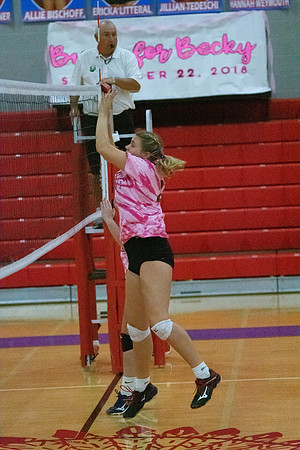 NWVB2018-1478