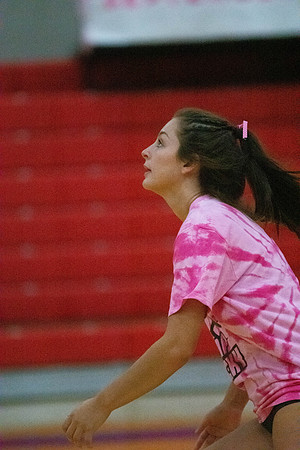 NWVB2018-1754