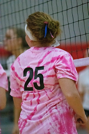 NWVB2018-1863