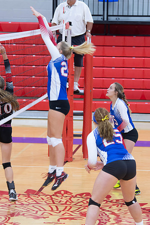 NWVB2018-9608
