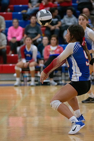 NWVB2018-6078