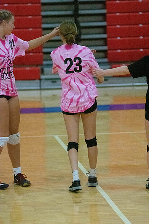 NWVB2018-1490