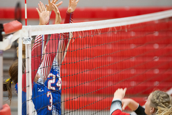 NWVB2018-9533