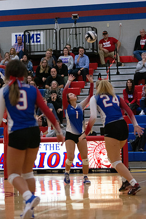 NWVB2018-5950