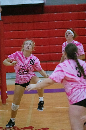 NWVB2018-1542