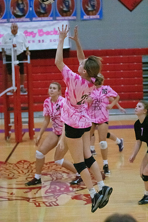 NWVB2018-1578