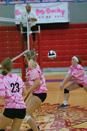 NWVB2018-1485