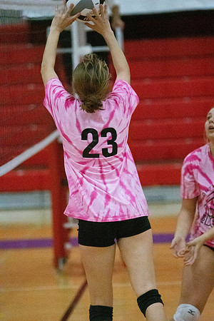 NWVB2018-1596