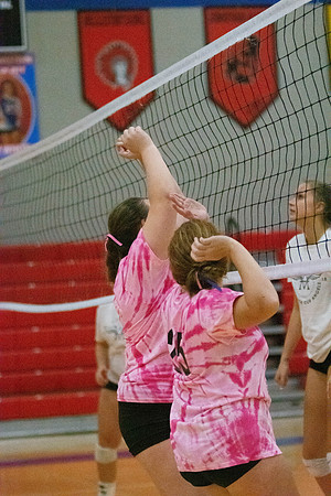 NWVB2018-1666