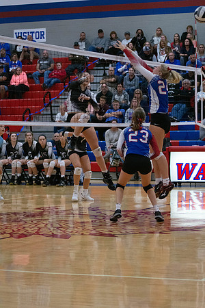 NWVB2018-6050