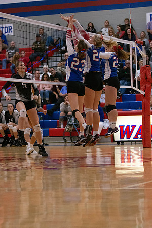 NWVB2018-6013