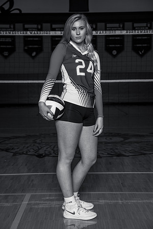 NWVB_cks-3742-bw2