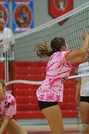 NWVB2018-1806