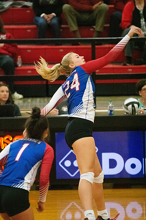NWVB2018-7204