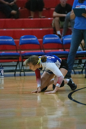 NWVB2018-1194