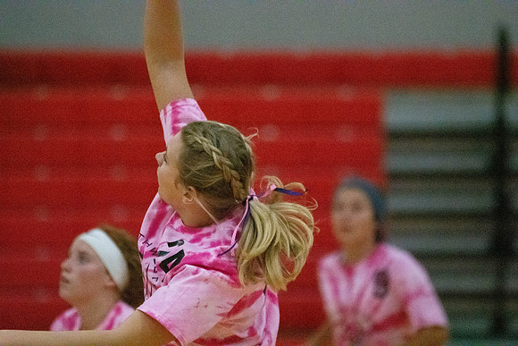 NWVB2018-1569