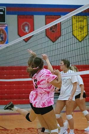 NWVB2018-1728