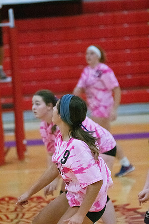 NWVB2018-1463