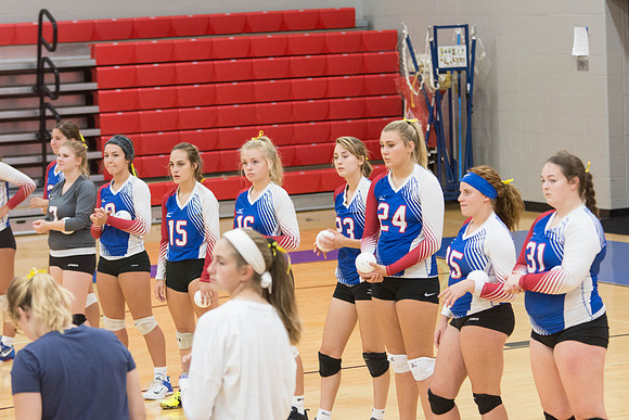 NWVB2018-9463