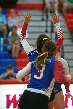 NWVB2018-0948