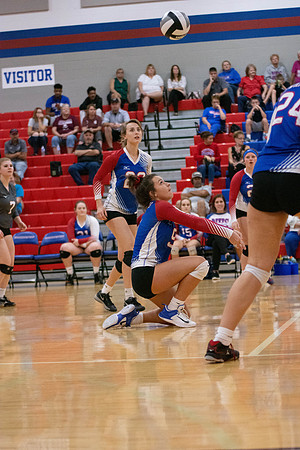 NWVB2018-3980