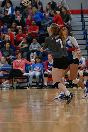 NWVB2018-5986