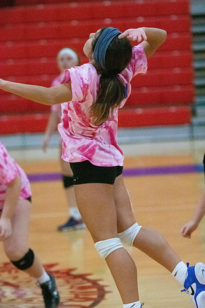 NWVB2018-1461