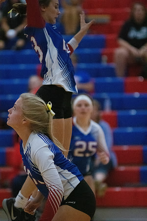 NWVB2018-1218