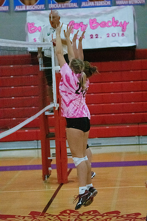 NWVB2018-1476