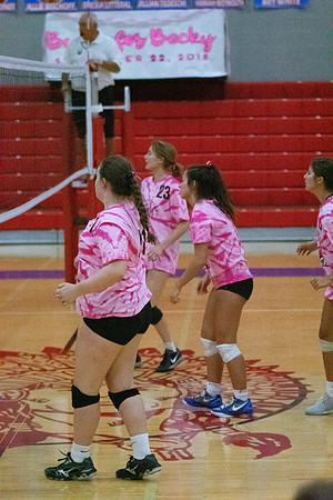 NWVB2018-1517