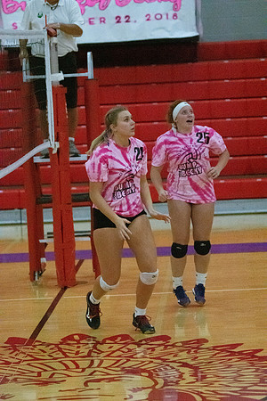 NWVB2018-1481