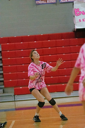 NWVB2018-1838
