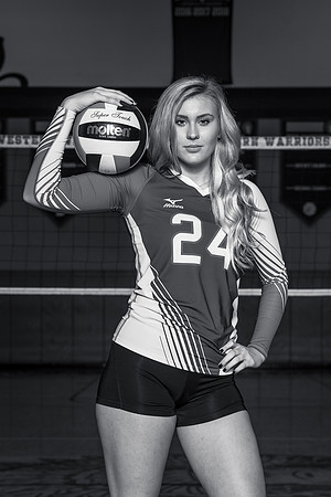 NWVB_cks-3733-bw