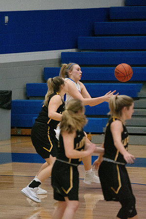 NWGBB_2018_sectionals_Shawnee-4564
