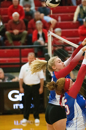 NWVB2018-7241