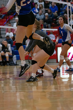 NWVB2018-5989